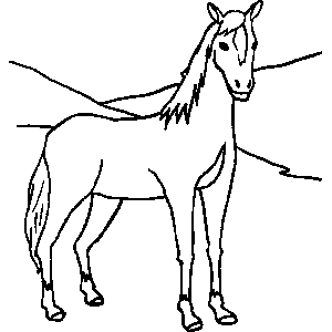 Horse Coloring Sheet 