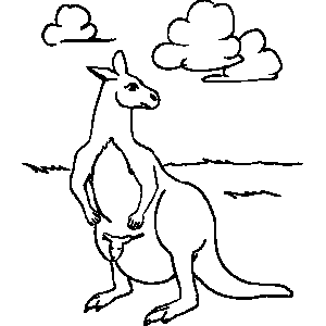 Kangaroo Coloring Sheet 