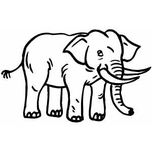 Serious Elephant Coloring Sheet 
