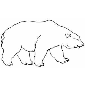 Walking Sad Polar Bear Coloring Sheet 