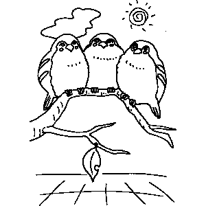Birds Perched on Tree Coloring Sheet 