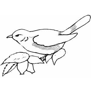 Severe Perched Bird Coloring Sheet 