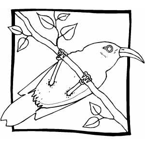 Sitting Bird In Frame Coloring Sheet 
