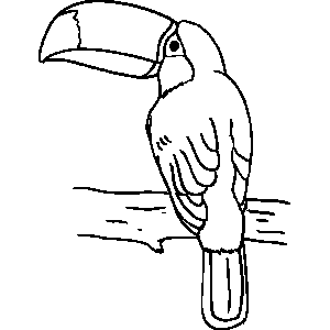 Toucan Coloring Sheet 