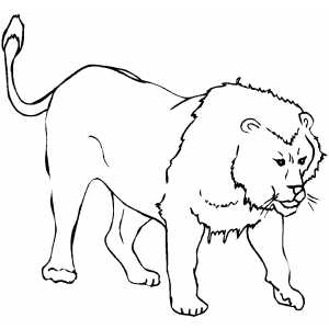 Angry Lion Coloring Sheet 