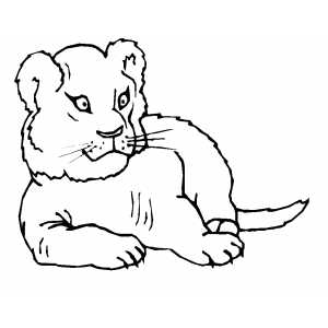 Small Lioness Coloring Sheet 