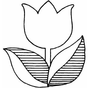 Tulip Flower Coloring Sheet 