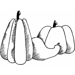 Pumpkin And Gourd Coloring Sheet 