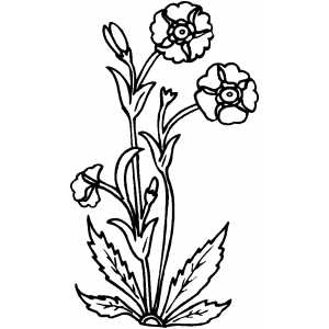Flowers10 Coloring Sheet 