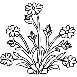 Flowers11 Coloring Sheet 
