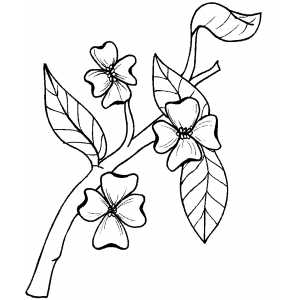 Flowers23 Coloring Sheet 