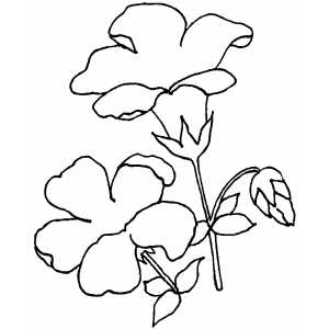 Flowers39 Coloring Sheet 