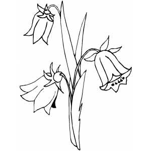 Flowers41 Coloring Sheet 