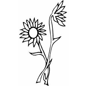 Flowers7 Coloring Sheet 