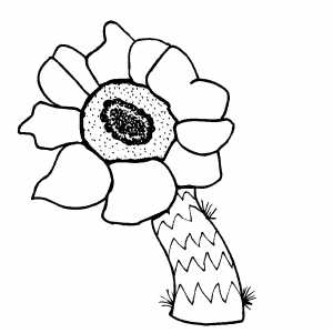 Flowers29 Coloring Sheet 