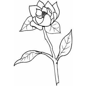 Flowers33 Coloring Sheet 