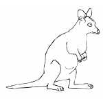 Kangaroo Kid