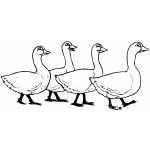 Four Geese