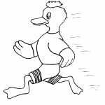 Running Sport Duck