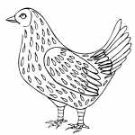 Speckled Chicken