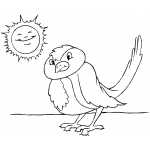 Sun Smiling To Bird