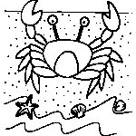 Crab and Shells