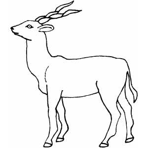 Antelope Child Coloring Sheet 