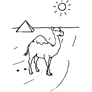 Camel Coloring Sheet 