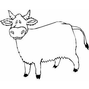 Confused Cow Coloring Sheet 