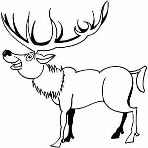 Deer With Big Horns Coloring Sheet 