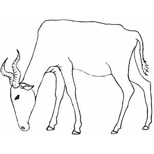 Eating Antelope Coloring Sheet 