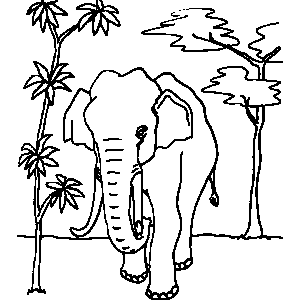 Elephant Coloring Sheet 