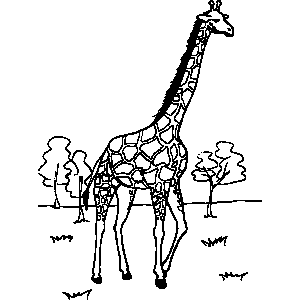 Giraffe Coloring Sheet 