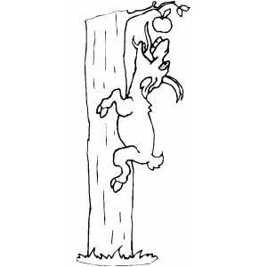 Goat Climbing Tree For Apple Coloring Sheet 