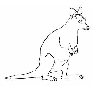 Kangaroo Kid Coloring Sheet 