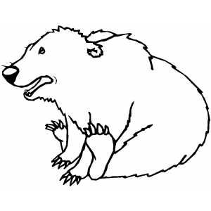 Little Playing Bear Coloring Sheet 