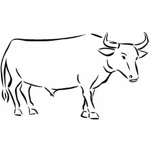 Ox Coloring Sheet 