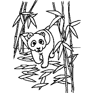 Panda Coloring Sheet 