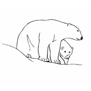 Polar Bears Couple Coloring Sheet 