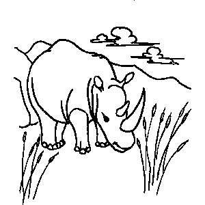 Rhino Coloring Sheet 