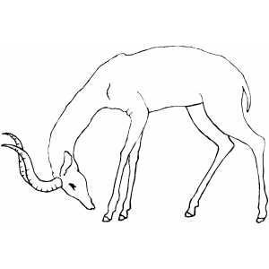 Sad Antelope Coloring Sheet 