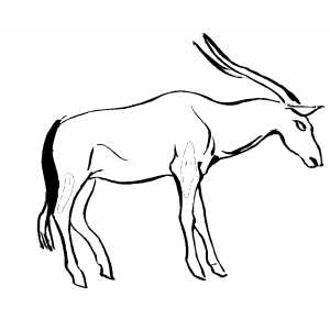 Severe Antelope Coloring Sheet 