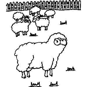 Sheep Coloring Sheet 