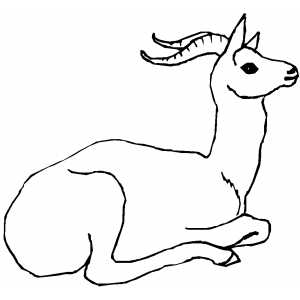 Sitting Antelope Coloring Sheet 