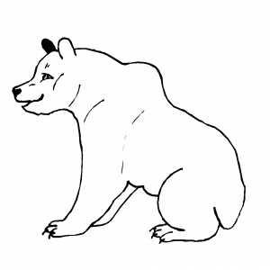 Sitting Polar Bear Coloring Sheet 