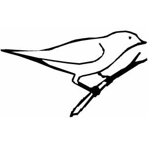 Bird Sitting On Branch Coloring Sheet 