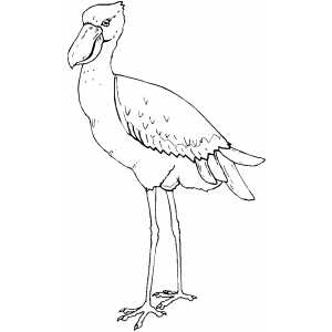 Bird With Long Legs Coloring Sheet 