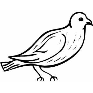 Bluebird Coloring Sheet 