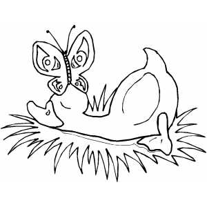 Butterfly On Sleeping Duck Coloring Sheet 