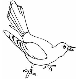 Common Cuckoo Coloring Sheet 